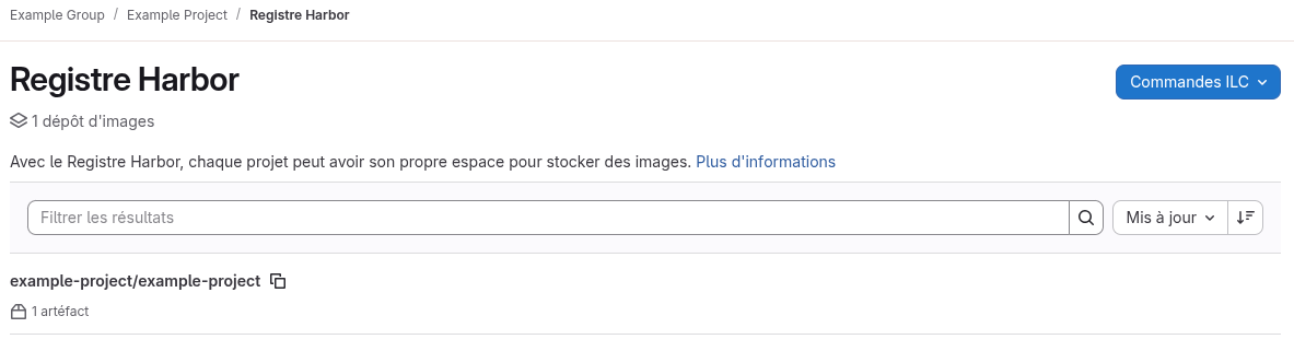 Visualiser le registre Harbor dans GitLab